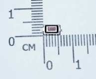Кнопка тактовая 3*6*2.5 мм (красная)