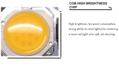 Сверхяркий светодиод 5W белый цвет (6000-6500K, 500 lm, 220-240В AC) 26*26*2.5мм